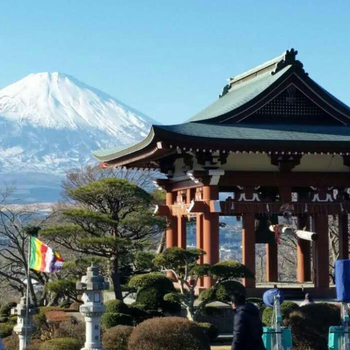勇敢的心