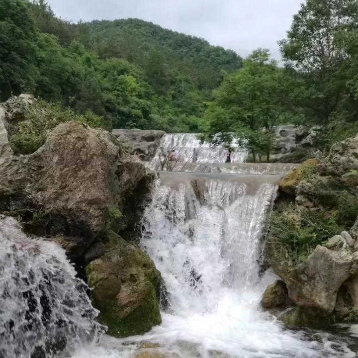 顺其自然