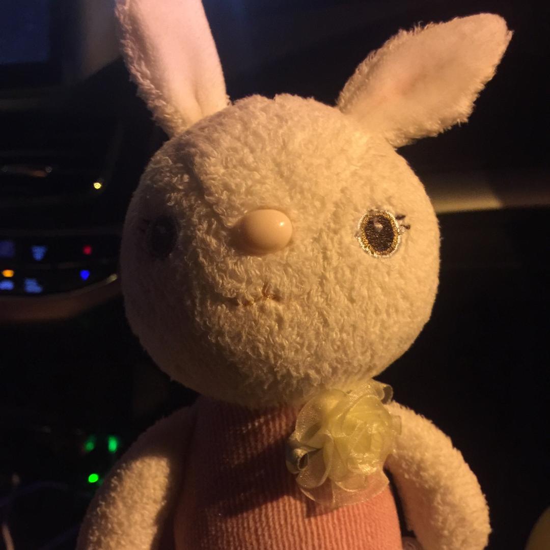 @胖胖滴小花朵🌺