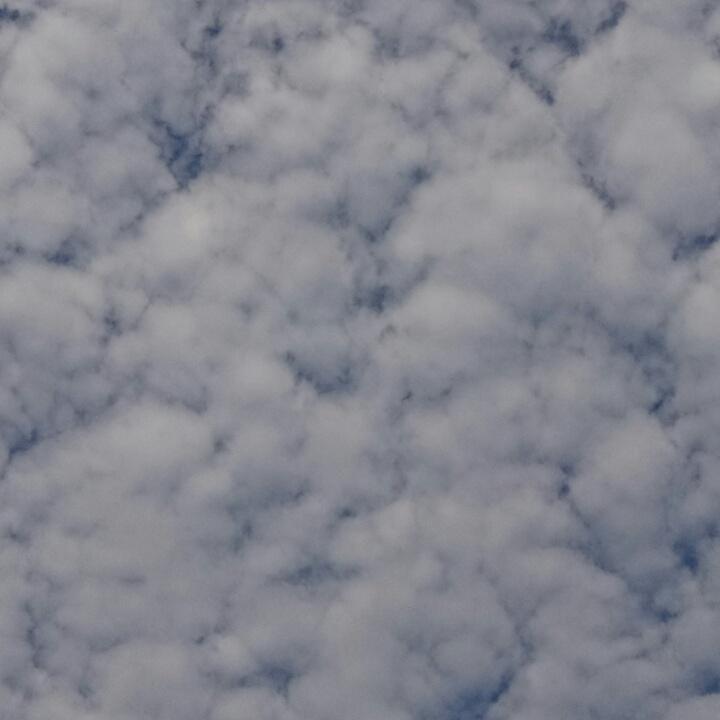 与福同行