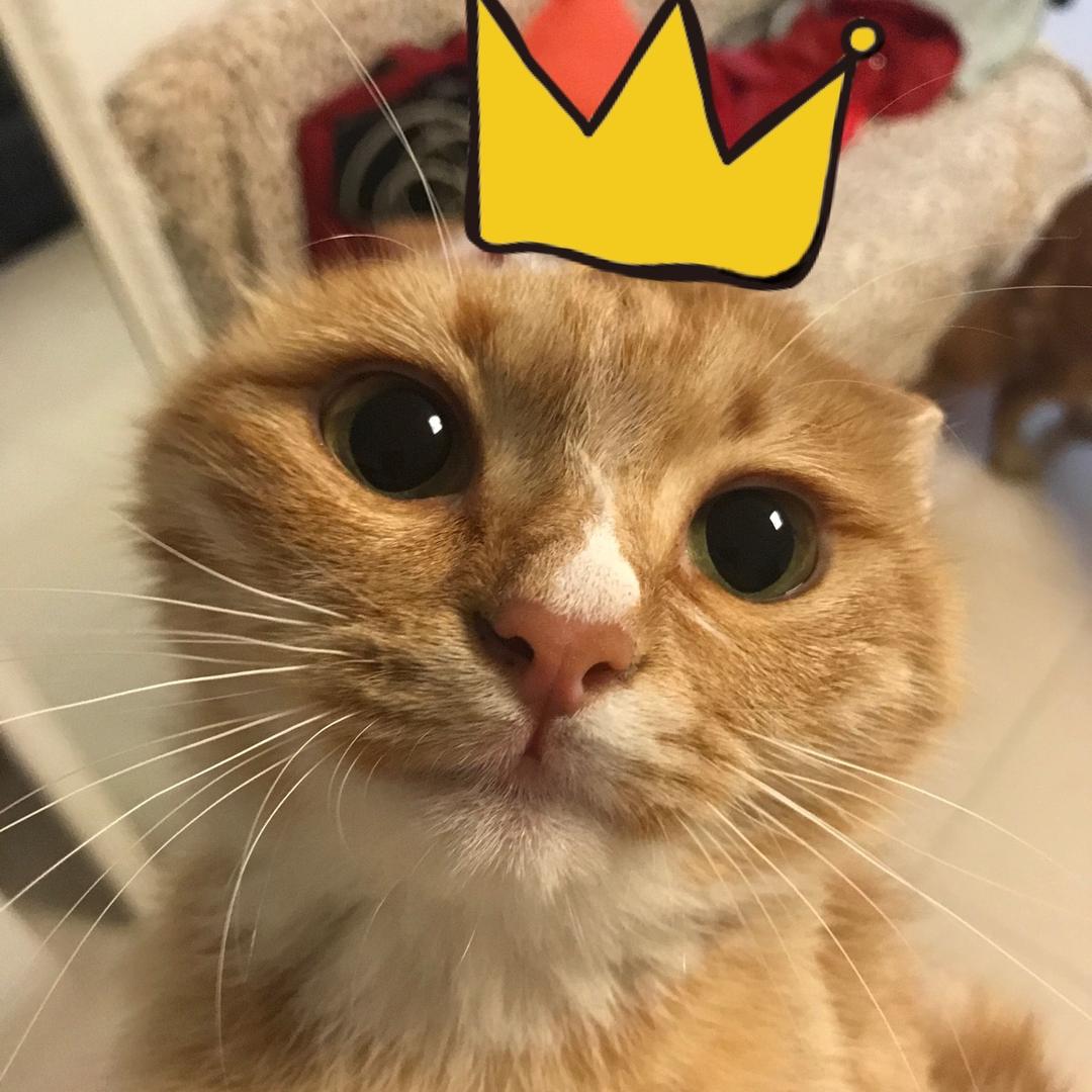 32岁单身带6娃的暴躁母蟑螂