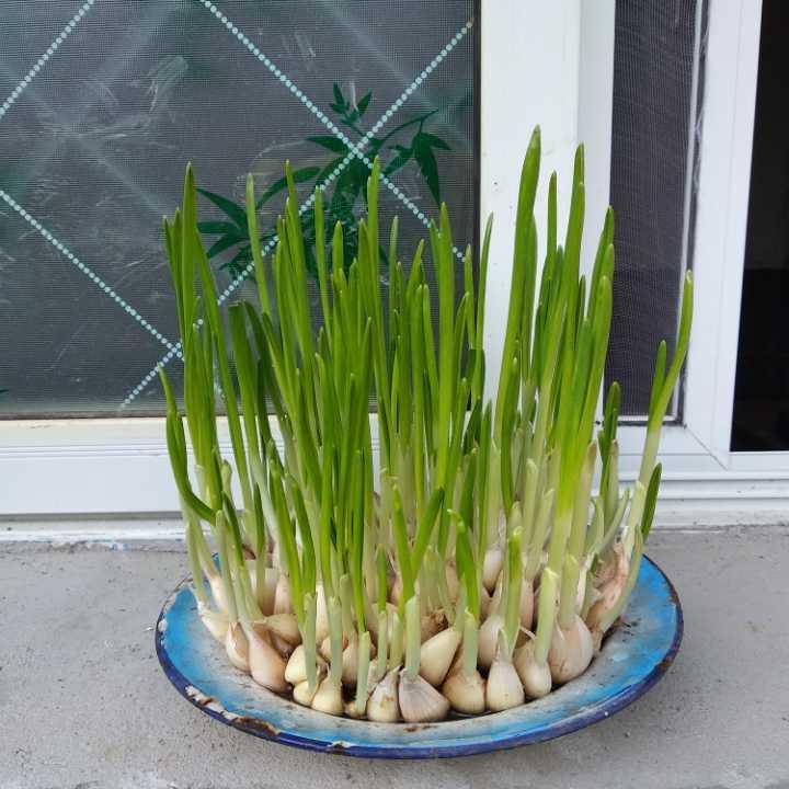 小贾爱听书《不要连赞》