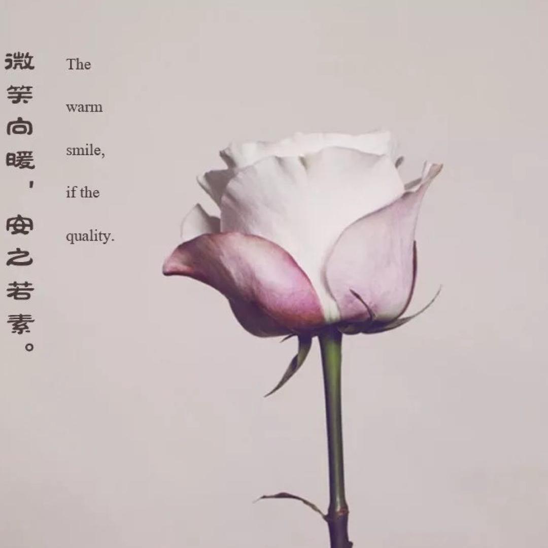 。。