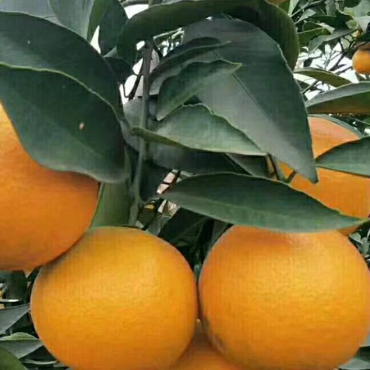 80小哥哥