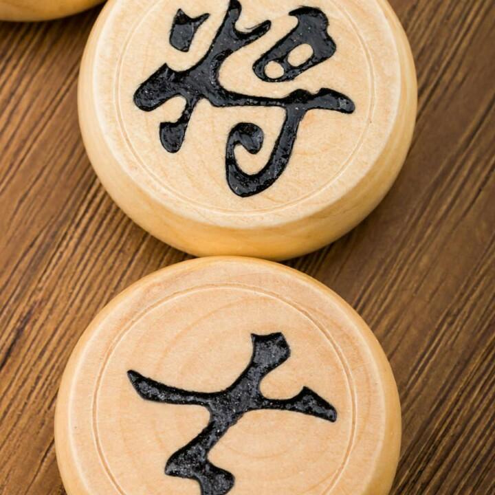 紫色枫叶
