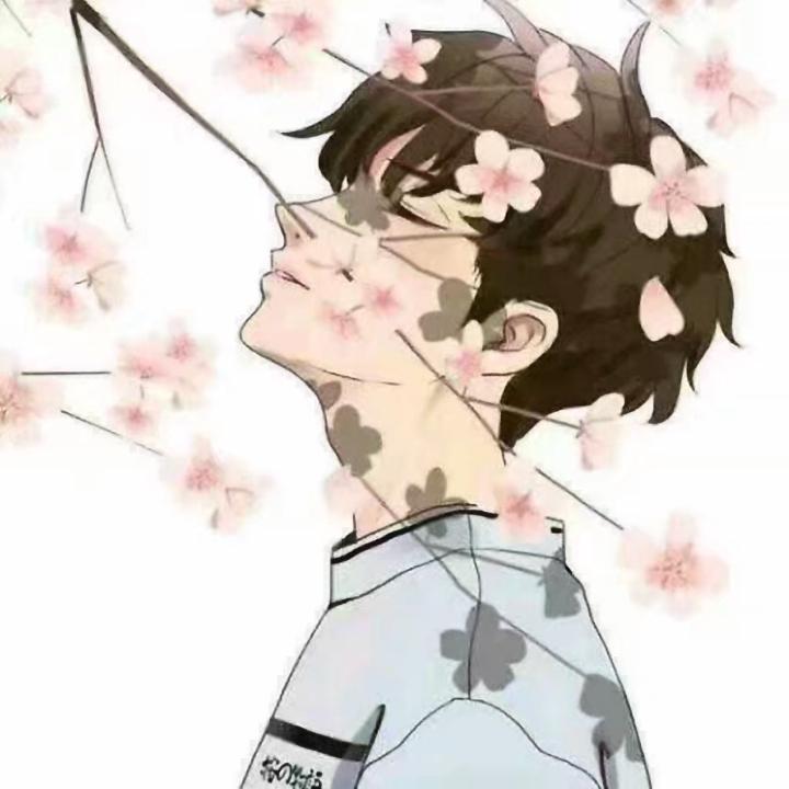 安某某