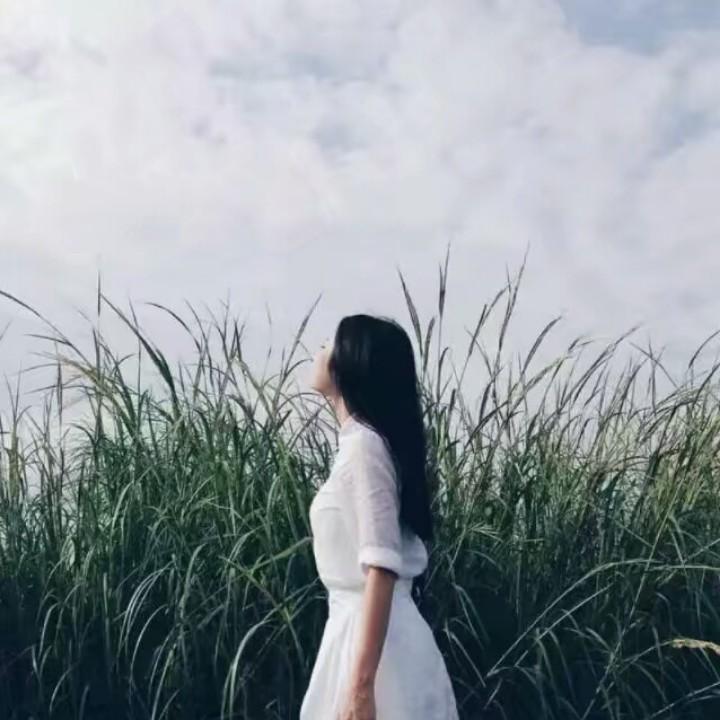 蒙蒙(手机摄影)