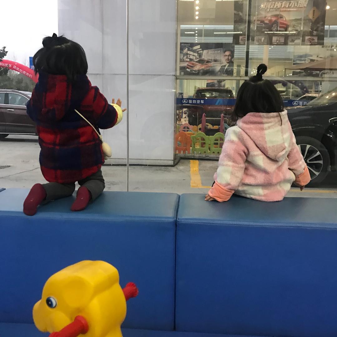 卢苇