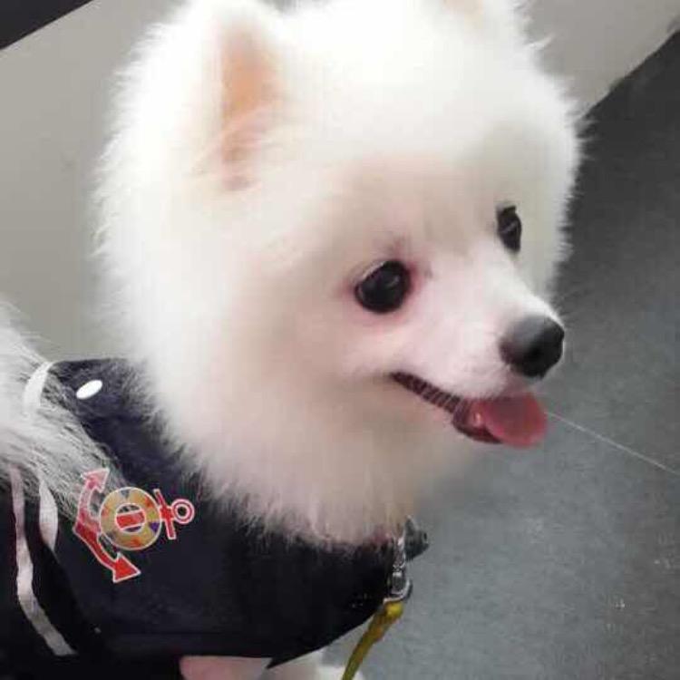 往事隋风