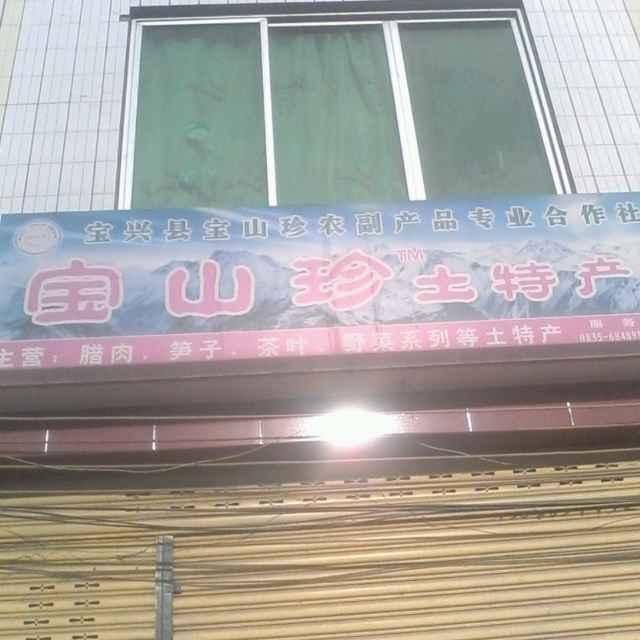 宝山珍土特产