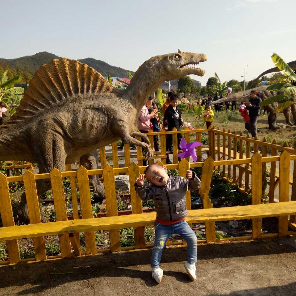 妙妙
