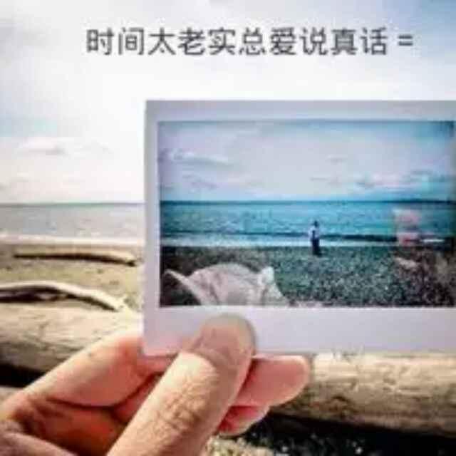 季洋洋