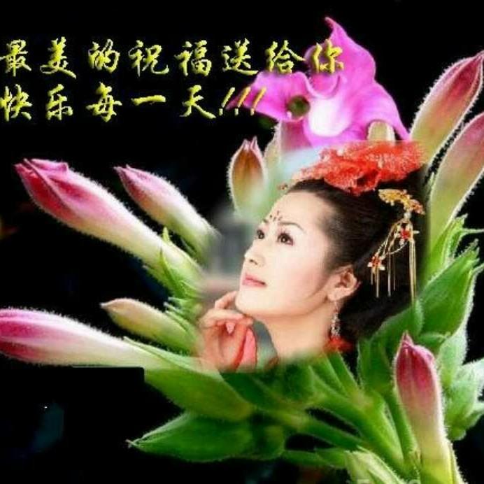舞动人生_12402