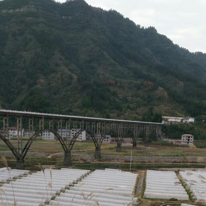 老后三