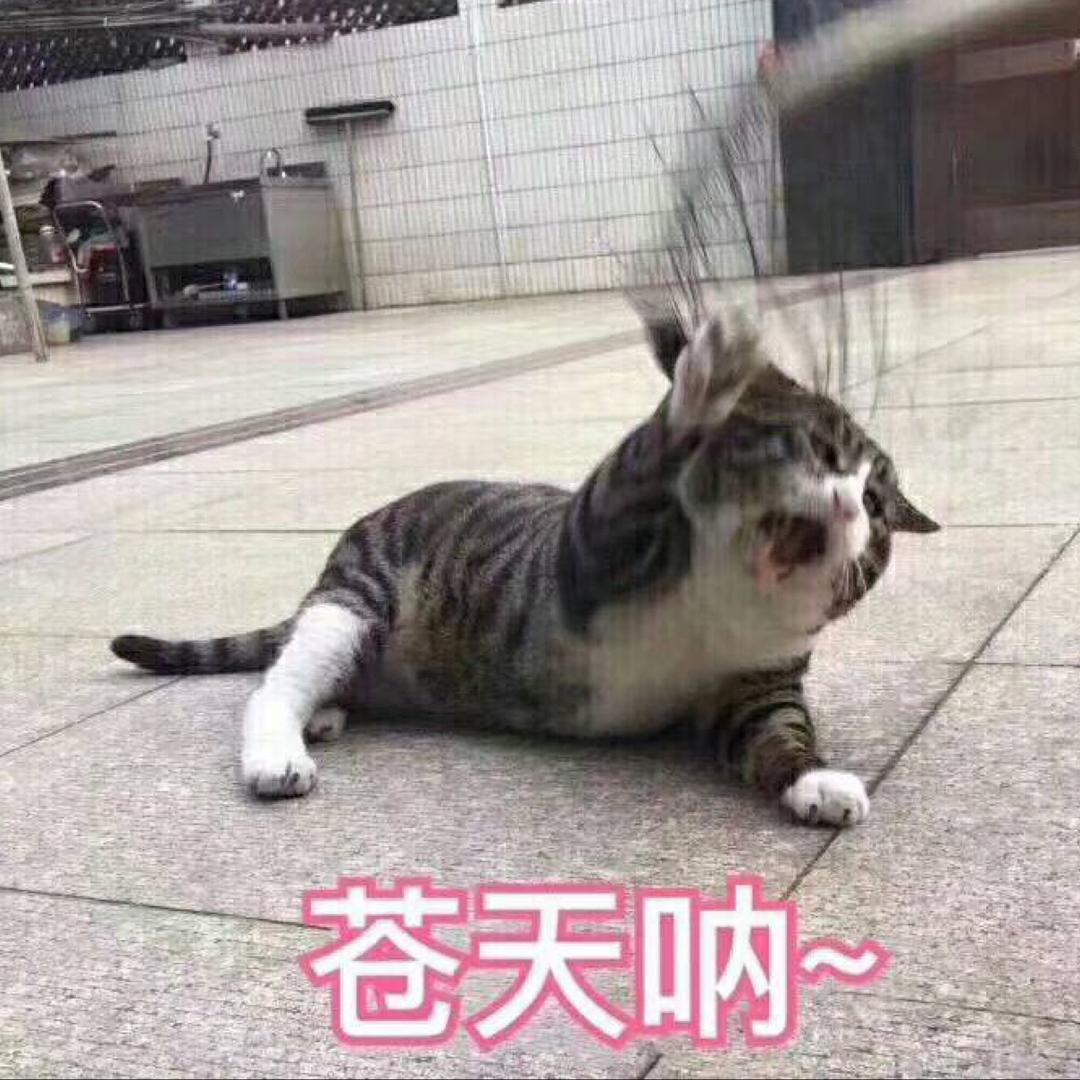 罐罐