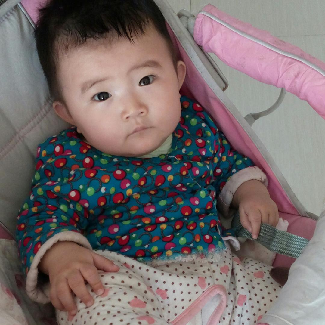 土豆出品必出精品蝴蝶鲤