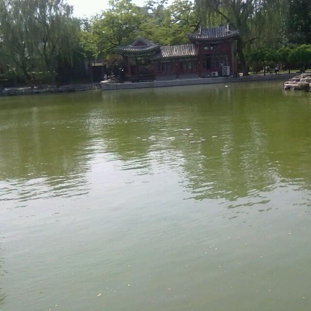 玖零后大叔