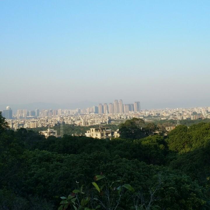 现代版狄仁杰