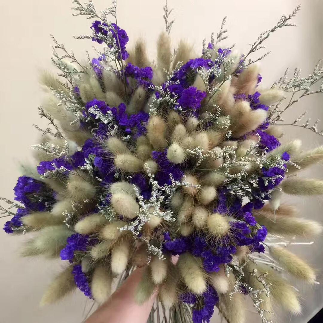 搬个菠萝赏月亮