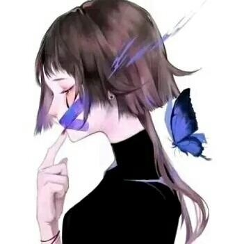 🌙梦途