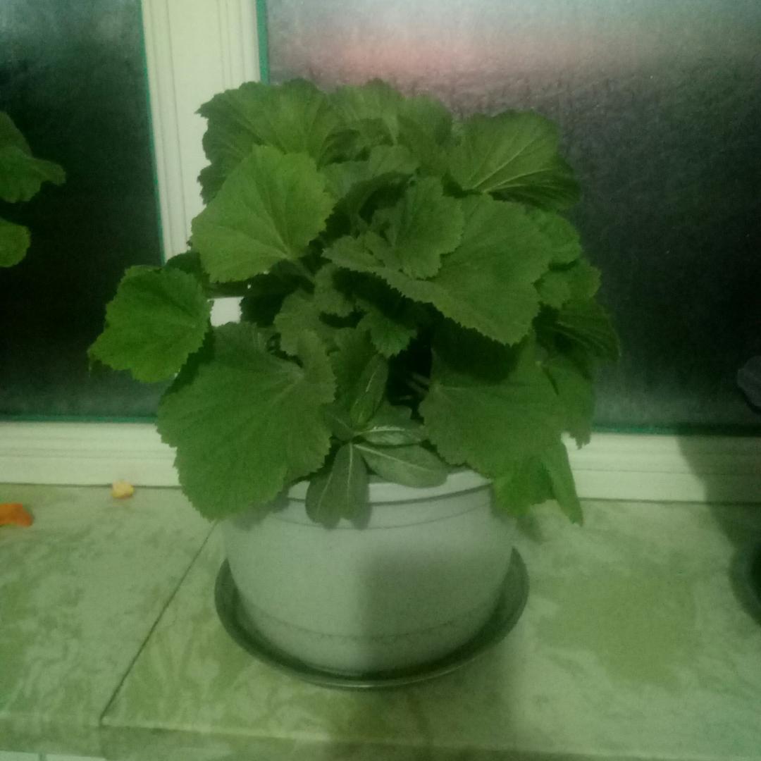 有缘人和你在一起_