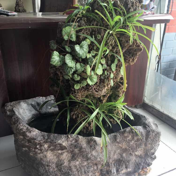 莱芜申宁
