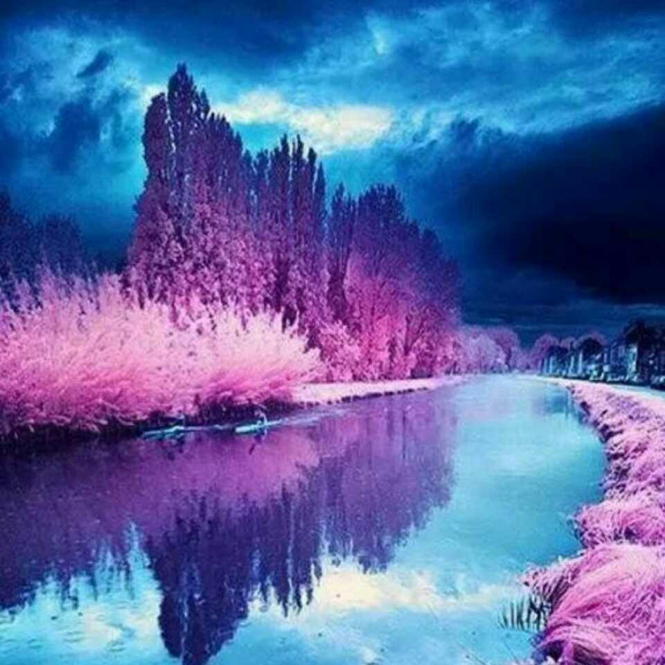 (ಡωಡ)💋 余生🍀随缘