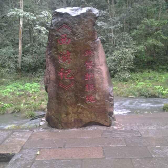 闫师15902996354