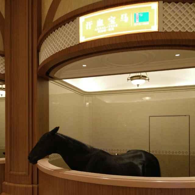 人卟狠 站卟稳