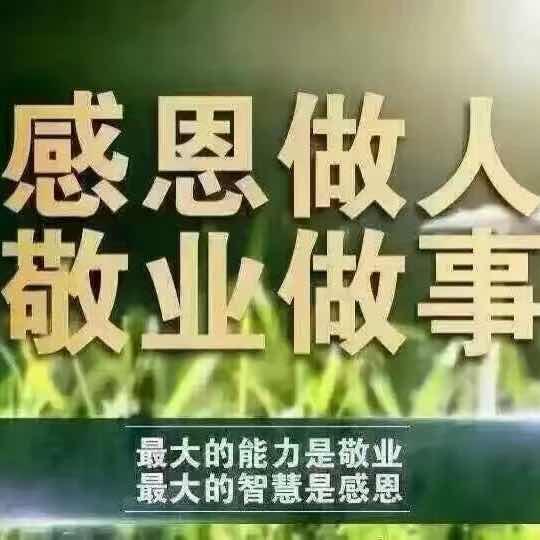 洋葱哥