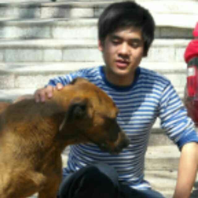 ………………松