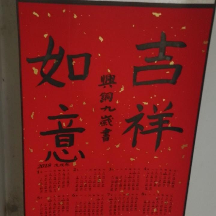 💞琦，萌宠之家雪纳瑞