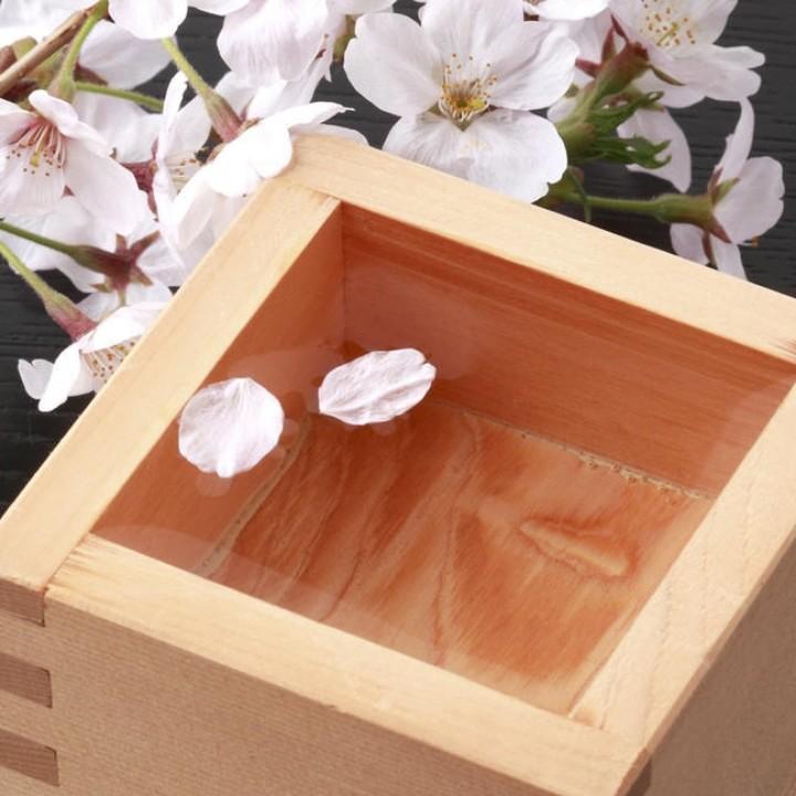 爱唱歌的钊钊
