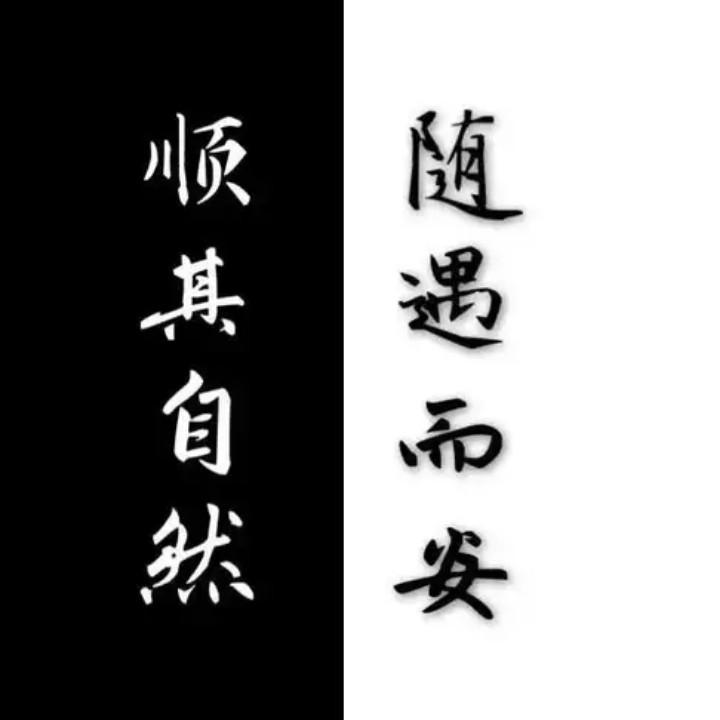 抹去浮华，只留纯粹。