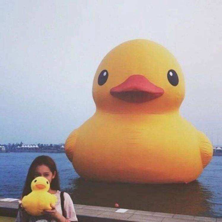 绵绵