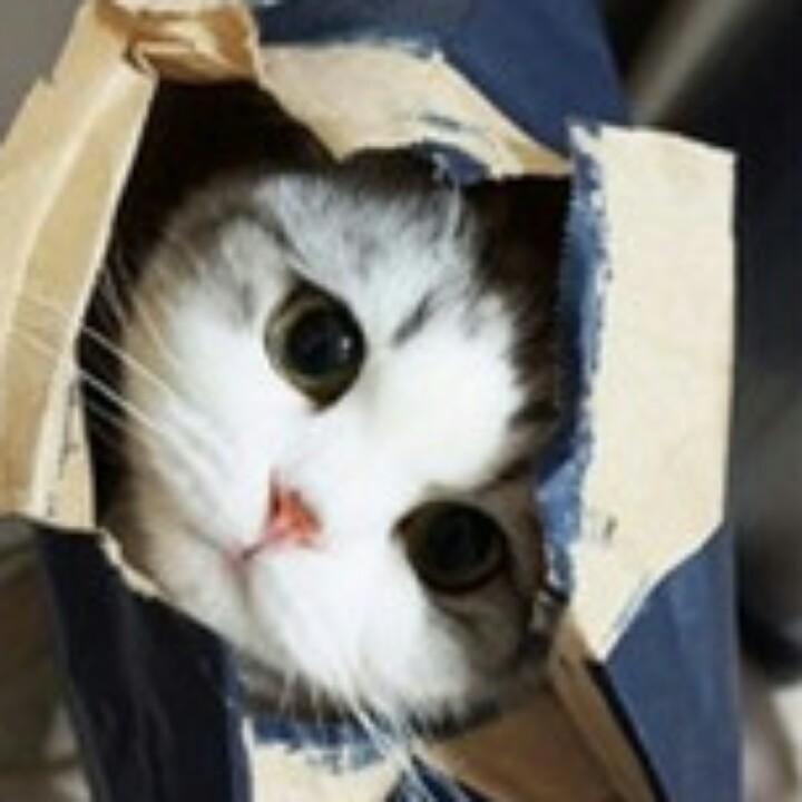 一曲一诺一人心