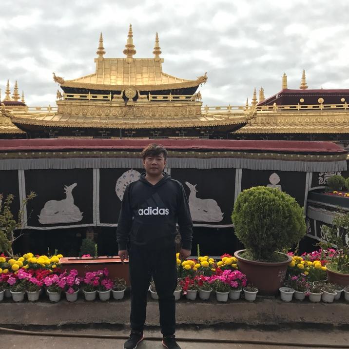 7890婚礼车队，禾诺婚礼策划。星雅名都