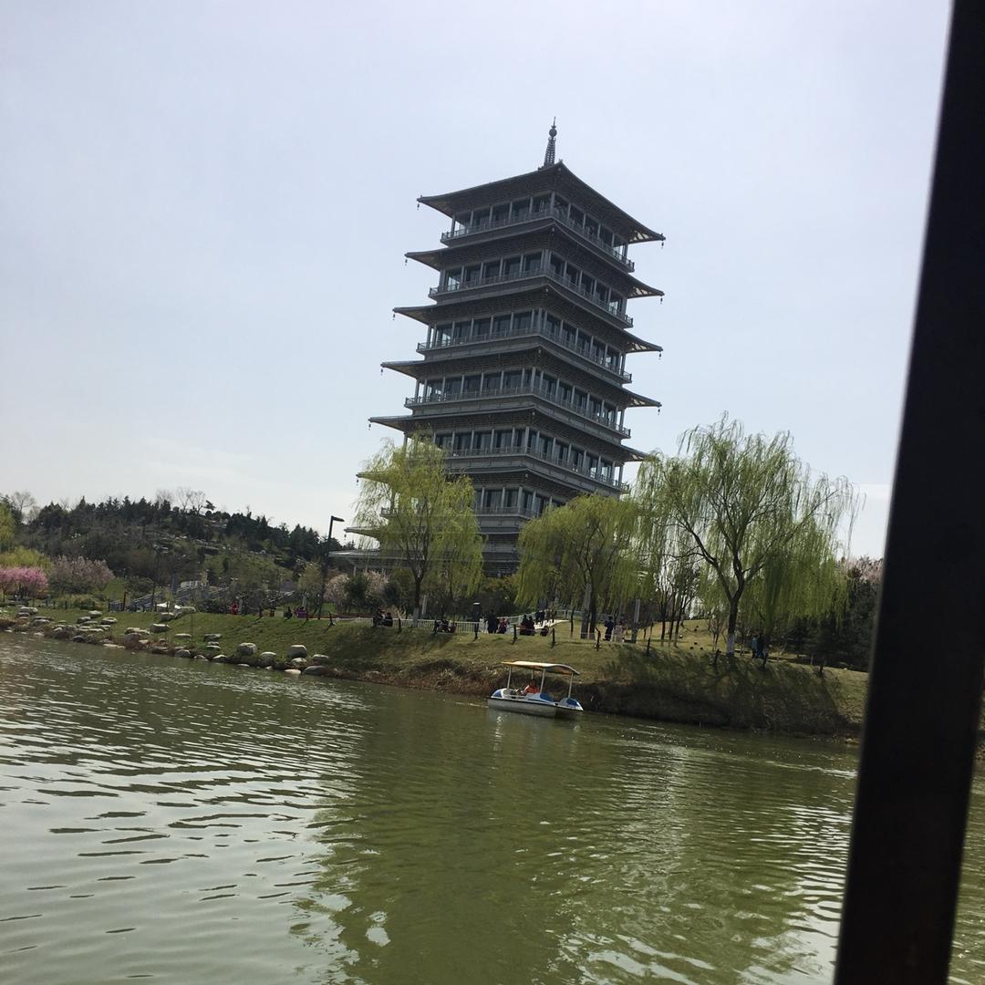 风知羽