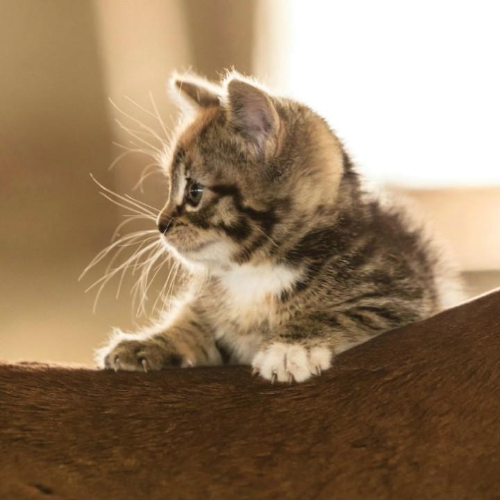 笛子～鹏仔☀️