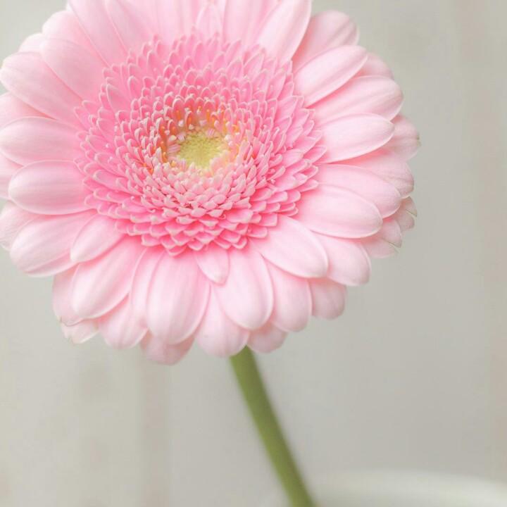 手机用户86002100105