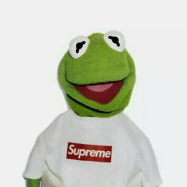 哎呀我的大番茄