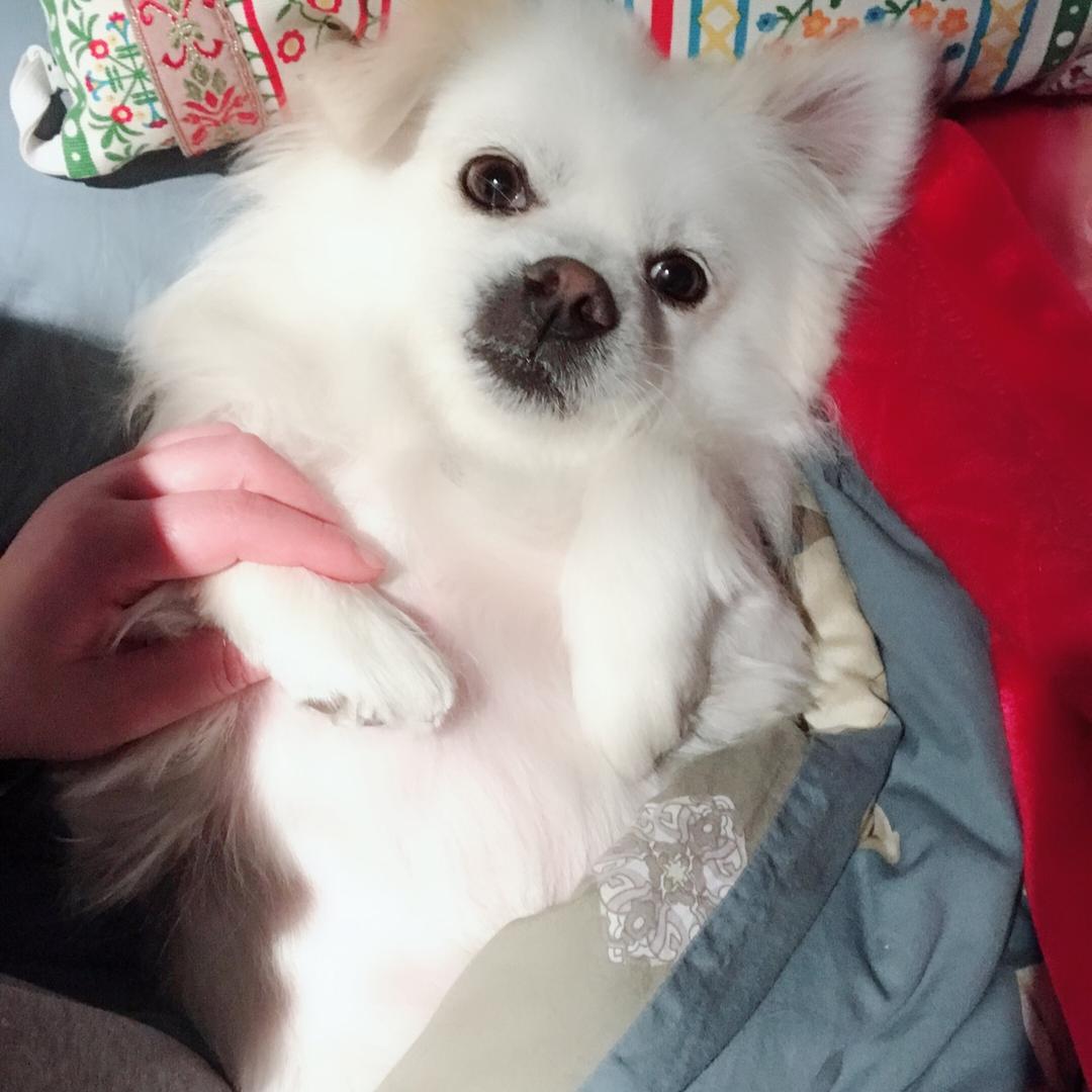 凡