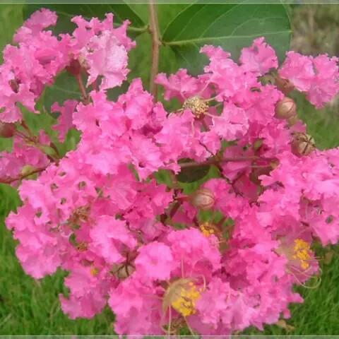 凝芸冰澜🌷🍁🌺