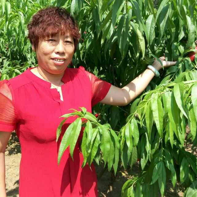 安逸（原腾跃广告）