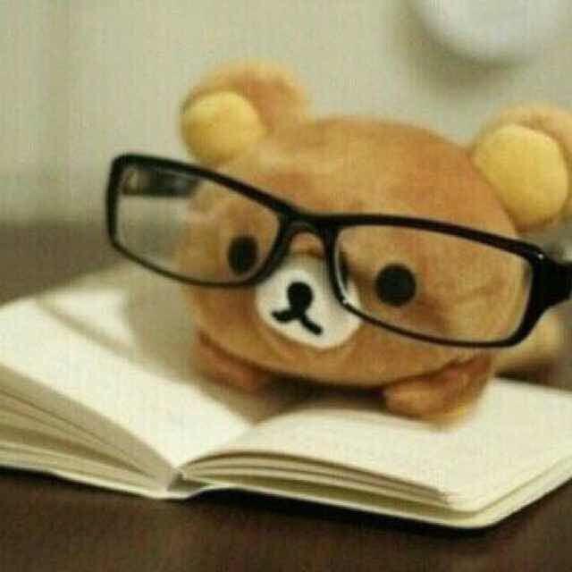 布朗熊🐻