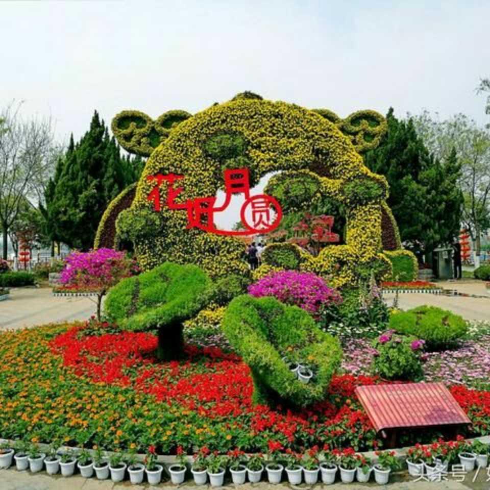 幸福的树