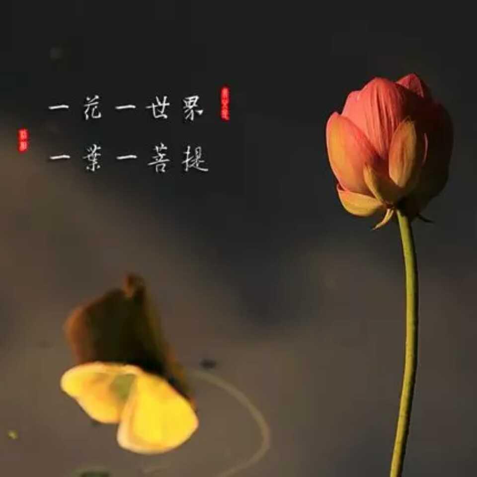 人生万般皆是命