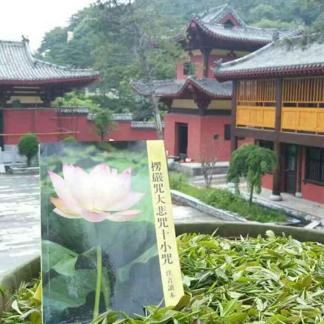沂山御品茶厂