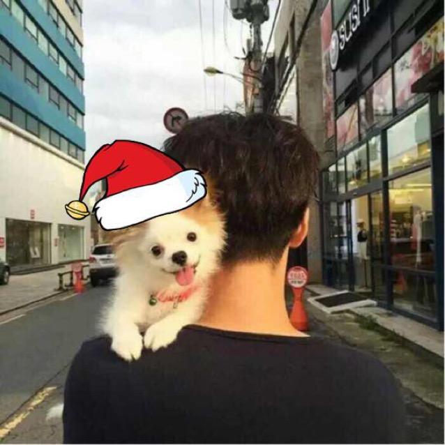 你的微笑那么美丶