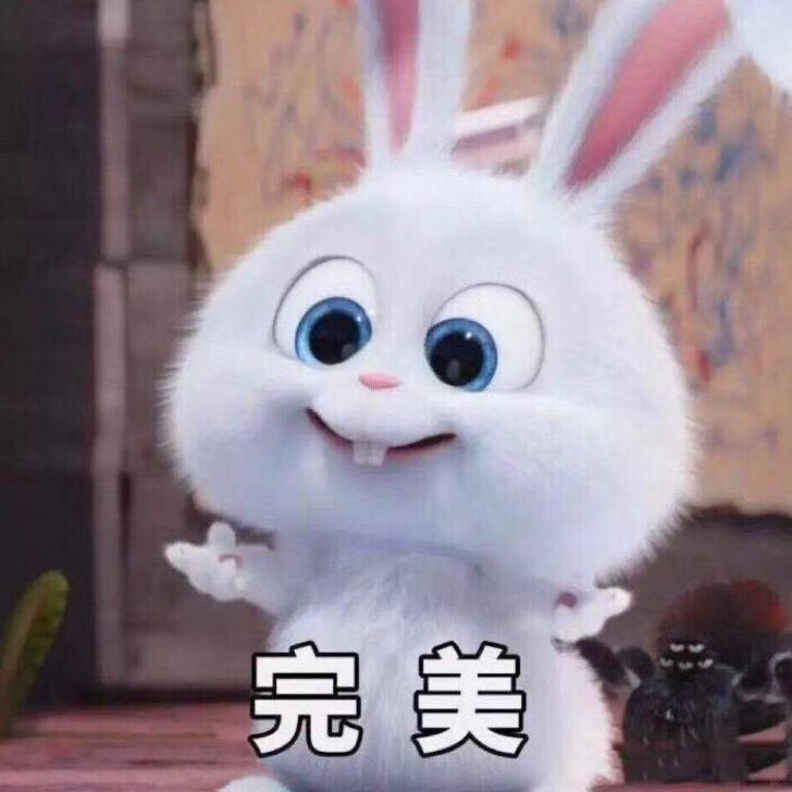 树叶